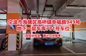 序号313：宁波市海曙区高桥镇幸福路949号
地下一层车库781号车位                              