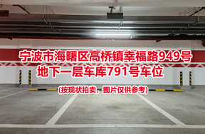 序号318：宁波市海曙区高桥镇幸福路949号
地下一层车库791号车位                              