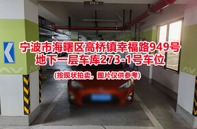 序号048：宁波市海曙区高桥镇幸福路949号
地下一层车库273-1号车位                       