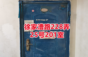 序号15：徐家漕路228弄
25号201室