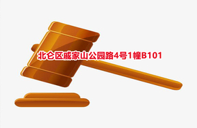 序号41：北仑区戚家山公园路4号1幢B101