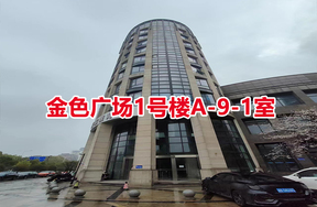 序号04：金色广场1号楼A-9-1室
