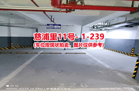 序号229：慈浦里11号-1-239（交警验收编号220）