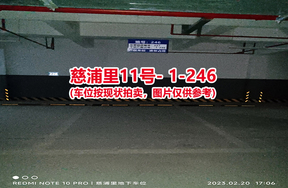 序号235：慈浦里11号-1-246（交警验收编号227）