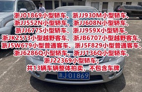 浙J01869小型轿车、浙JJ930M小型轿车、浙JJ552N小型轿车、浙JJ608N小型轿车、浙JJ677S小型轿车、浙JJ959X小型轿车、浙JK2573小型越野客车、浙JB6707小型越野客车、浙J5W679小型普通客车、浙J5F829小型普通客车、浙J6286Q小型轿车、浙JJ136Q小型轿车、浙J22369小型轿车；共13辆车辆整体拍卖，不包含车牌