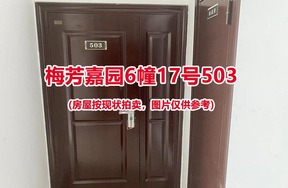 序号009：梅芳嘉园6幢17号503