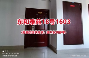 序号027：东和雅苑18号1603