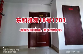 序号028：东和雅苑18号1703
