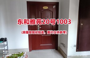 序号038：东和雅苑20号1003