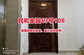 序号165：民和家园63号108