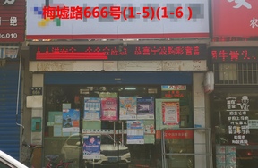 序号135：梅墟路666号(1-5)(1-6）