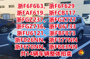 浙F6F663、浙F6F629、浙FAF619、浙FCB117、浙FGZ237、浙FGZ727、浙FGZ736、浙FU6133、浙FU6121、浙FBF873、浙F026NN、浙F377NN、浙F670NN、浙F883NN共14辆车辆整体拍卖