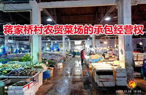 蒋家桥村农贸菜场的承包经营权