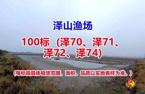序号100：100标（泽70、泽71、泽72、泽74）