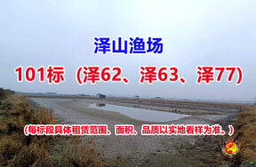 序号101：101标（泽62、泽63、泽77）