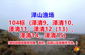 序号104：104标（泽清9、泽清10、泽清11、泽清12（13）、泽清14、泽清15）