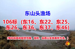 序号106：106标（东16、东22、东25、东26、东36、东37、东46）