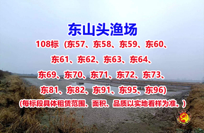 序号108：108标（东57、东58、东59、东60、东61、东62、东63、东64、东69、东70、东71、东72、东73、东81、东82、东91、东95、东96）
