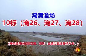 序号010：10标（淹26、淹27、淹28）