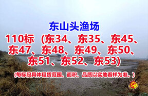 序号110：110标（东34、东35、东45、东47、东48、东49、东50、东51、东52、东53）