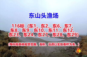 序号116：116标（东1、东2、东6、东7、东8、东9、东10、东11、东12、东23、东24、东27、东28、东29）