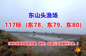 序号117：117标（东78、东79、东80）