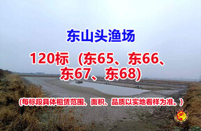 序号120：120标（东65、东66、东67、东68）