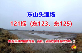 序号121：121标（东123、东125）