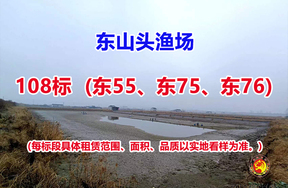 序号122：122标（东55、东75、东76）