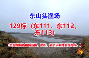 序号129：129标（东111、东112、东113）
