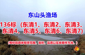 序号136：136标（东清1、东清2、东清3、东清4、东清5、东清6、东清7）