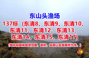 序号137：137标（东清8、东清9、东清10、东清11、东清12、东清13、东清14、东清15、东清17）