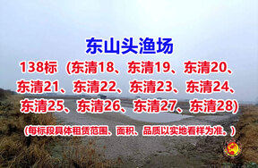 序号138：138标（东清18、东清19、东清20、东清21、东清22、东清23、东清24、东清25、东清26、东清27、东清28）