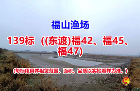 序号139：139标（(东渡)福42、福45、福47）