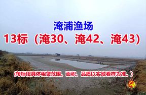序号013：13标（淹30、淹42、淹43）