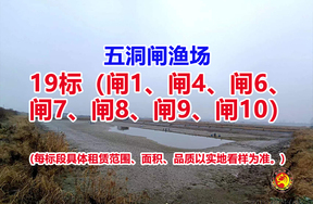 序号019：19标（闸1、闸4、闸6、闸7、闸8、闸9、闸10）