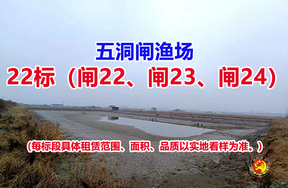 序号022：22标（闸22、闸23、闸24）