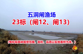 序号023：23标（闸12、闸13）
