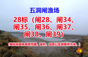 序号028：28标（闸28、闸34、闸35、闸36、闸37、闸38、闸39）