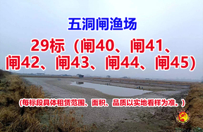 序号029：29标（闸40、闸41、闸42、闸43、闸44、闸45）