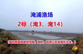 序号002：2标（淹3、淹14）