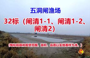 序号032：32标（闸清1-1、闸清1-2、闸清2）