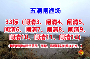 序号033：33标（闸清3、闸清4、闸清5、闸清6、闸清7、闸清8、闸清9、闸清10、闸清11、闸清12）