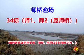 序号034：34标（师1、师2（原师桥））