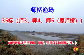 序号035：35标（师3、师4、师5（原师桥））