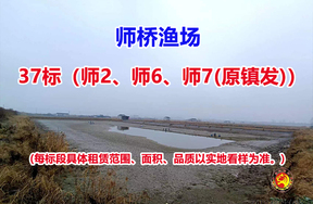序号037：37标（师2、师6、师7(原镇发)）