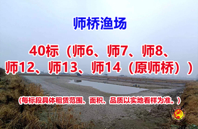 序号040：40标（师6、师7、师8、师12、师13、师14（原师桥））
