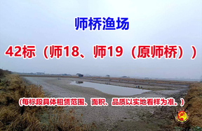 序号042：42标（师18、师19（原师桥））
