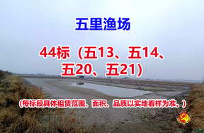 序号044：44标（五13、五14、五20、五21）