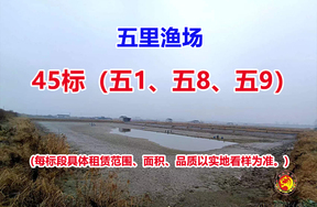 序号045：45标（五1、五8、五9）